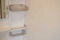 洗面台の棚には、歯みがきなどの洗面用具を置くことができます。(2013-05-31,共用部,OTHER,1F)
