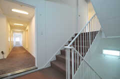 階段と廊下の様子。廊下はカーペット敷で音が出ません。(2012-09-24,共用部,OTHER,2F)