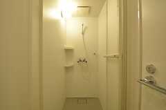 シャワールームの様子。(2015-08-06,共用部,BATH,)