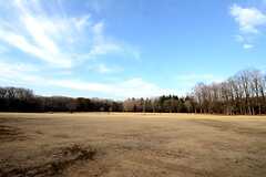 小金井公園は、シェアハウスから徒歩3分ほどのところにあります。（小金井公園）	(2014-03-05,共用部,ENVIRONMENT,1F)