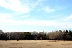 小金井公園の様子。（小金井公園）	(2014-03-05,共用部,ENVIRONMENT,1F)
