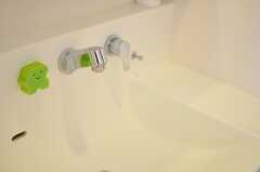 洗面台は大きく、シャワー水栓が取り付けられています。(2013-10-02,共用部,KITCHEN,2F)