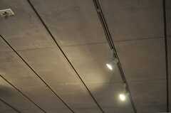 コンクリートの天井。ダクトレールもデザインの一部です。(2013-10-02,共用部,OTHER,2F)