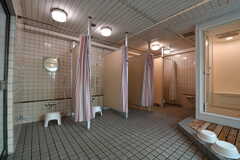 女性専用シャワールームの様子。シャワースペースが8箇所用意されています。(2019-02-07,共用部,BATH,1F)