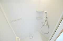 シャワールームの様子。(2013-03-07,共用部,BATH,1F)
