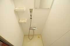 シャワールームの様子。(2013-07-05,共用部,BATH,4F)