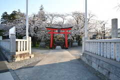 近くにある菅原神社。桜が綺麗です。(2020-03-26,共用部,ENVIRONMENT,1F)