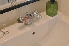 洗面台の水栓。(2014-05-12,共用部,OTHER,1F)
