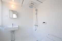 洗面台・シャワールームの様子。（201号室）(2014-03-25,専有部,ROOM,2F)