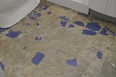 床は元々なのだそう。無骨な雰囲気が良い感じ。(2014-03-14,共用部,TOILET,1F)