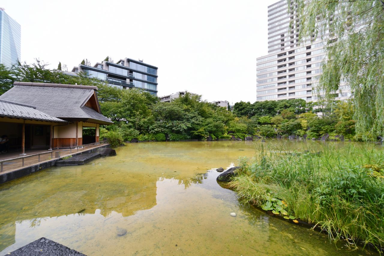 近くの檜町公園の様子。|1F 周辺環境