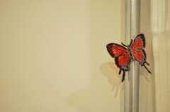 マグネットの蝶々。(2010-07-22,共用部,PARTY,2F)