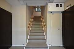 階段の様子。3Fまで階段で上がります。(2013-03-20,周辺環境,ENTRANCE,1F)