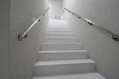 階段の様子。(2013-02-21,共用部,OTHER,2F)