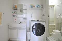 脱衣室には、洗面台とドラム式洗濯機が設置されています。(2012-08-03,共用部,OTHER,2F)