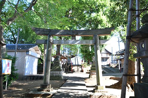 神社の様子。緑がいっぱい。|1F 周辺環境