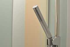 シャワーヘッドはスティックタイプ。(2013-03-25,共用部,BATH,1F)