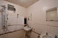 シャワールームの様子。シャワールームには洗面台が2箇所設置されています。(2017-03-07,共用部,BATH,1F)