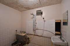 シャワールームの様子2。全身を洗えるシャワーが設置されています。シャワールームは合計で2室設置されています。(2017-03-07,共用部,BATH,1F)