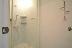 シャワールームの様子。(2013-11-11,共用部,BATH,2F)