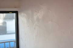 壁は漆喰塗りです。（202号室）(2021-11-12,専有部,ROOM,2F)