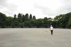 シェアハウス周辺の公園には、野球場もあります。芝生広場ではペットと遊べます。(2012-09-10,共用部,ENVIRONMENT,1F)