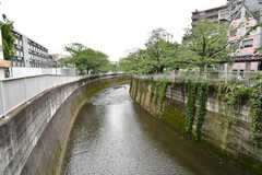 裏手には神田川が流れています。(2023-05-08,共用部,ENVIRONMENT,1F)