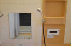 シャワーヘッドの様子。(2013-03-14,共用部,BATH,3F)
