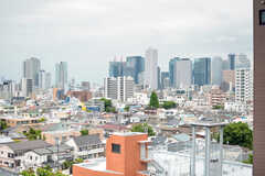 屋上からの景色2。新宿のビル群が見えます。(2022-05-09,共用部,OTHER,8F)