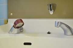洗面台はシャワー水栓付きです。(2013-01-07,共用部,OTHER,1F)