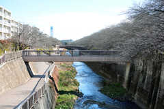 石神井川の様子。春にはお花見スポットになります。(2023-01-31,共用部,ENVIRONMENT,1F)