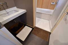 バスルームの脱衣室の様子。脱衣室には洗面台が設置されています。(2019-01-25,共用部,BATH,1F)