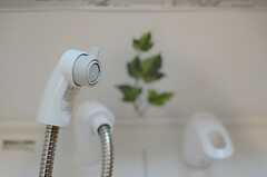 洗面台はシャワー水栓です。(2013-09-26,共用部,OTHER,1F)