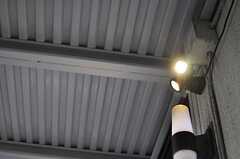玄関には自動で点灯するライトが設置されています。（101号室・102号室専用）(2014-03-19,周辺環境,ENTRANCE,1F)
