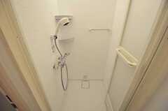 シャワールームの様子。いろんな種類のシャワーが切り替えられるシャワーヘッドが付いています。(2011-06-28,共用部,BATH,1F)