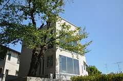 シェアハウスの外観。桜の木に寄り添うように建っています。(2012-09-12,共用部,OUTLOOK,1F)