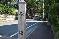 桜の名所、桜坂も徒歩圏内。(2012-09-12,共用部,ENVIRONMENT,1F)