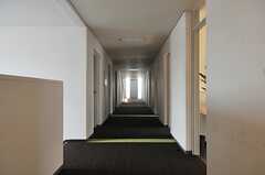 廊下の様子。階段の対面に水まわり設備があります。	(2013-09-09,共用部,OTHER,2F)