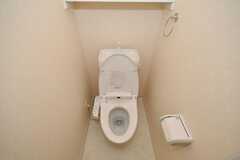 トイレの様子。(2009-01-20,共用部,TOILET,1F)