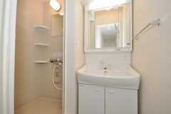 洗面台とシャワールームの様子。(2009-01-20,共用部,BATH,2F)