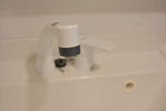 洗面台はシャワー水栓です。(2022-03-22,共用部,WASHSTAND,2F)