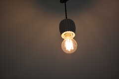 天井照明は裸電球。（206号室）(2020-11-06,専有部,ROOM,2F)