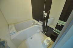 バスルームの様子。(2012-03-09,共用部,BATH,1F)