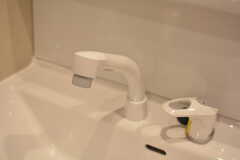 洗面台はシャワー水栓です。(2020-01-31,共用部,WASHSTAND,1F)