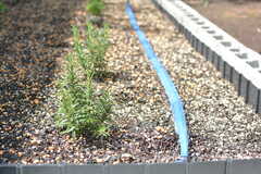 花壇にはハーブが植えられています。庭の蛇口をひねると、青いホースから霧状の水が出て、簡単に水やりができます。(2021-03-16,共用部,OTHER,1F)
