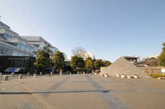 東急田園都市線・用賀駅からシェアハウスへ向かう道の様子。(2011-01-28,共用部,ENVIRONMENT,1F)