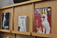 TV台にはネコ関係の雑誌が飾られています。(2019-06-12,共用部,OTHER,1F)