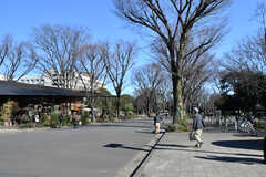通り道に駒沢公園があります。(2021-02-16,共用部,ENVIRONMENT,1F)