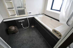 バスルームの様子。洗い場は広めです。(2012-03-08,共用部,BATH,3F)