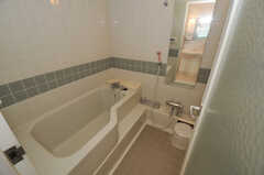 バスルームの様子。(2010-12-28,共用部,BATH,2F)